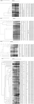 Characteristics of Quinolone Resistance in Salmonella spp. Isolates from the Food Chain in Brazil